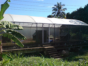 Semi-field cages for mosquito studies, Ifakara, Tanzania